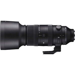 �V�O�} 60-600mm F4.5-6.3 DG DN OS 60-600MMDGDN_OS_S_SE ���\�j�[FE�}�E���g�p�����Y�i�t���T�C�Y�~���[���X�Ή��j