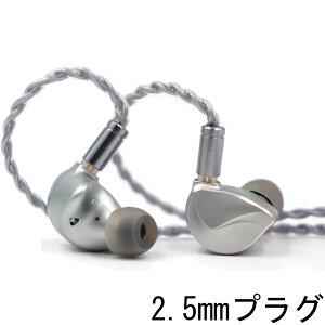 BQEYZ �_�C�i�~�b�N���^�J�i���C���z��(�V���o�[)�y2.5mm�v���O�z BQ510152 Winter