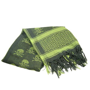 C[O͌^ AtKXg[EXJp^[[O[] 100×100cmy5369SK-U-GRz GAKi