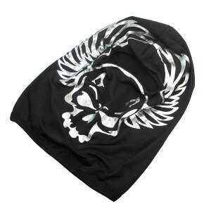 C[O͌^ 1z[EoNoEXJ[SI]y5426SK-SIz GAK