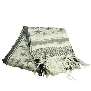 C[O͌^ AtKXg[EX^[p^[[Xm[] 100×100cmy5369ST-U-SNz GAK