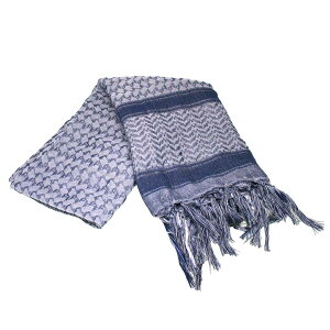 C[O͌^ AtKXg[V6[Cgu[] 100×100cmy5369V6-U-LBLz GAK