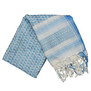 C[O͌^ AtKXg[V8[XJC] 100×100cmy5369V8-U-SKYz GAK