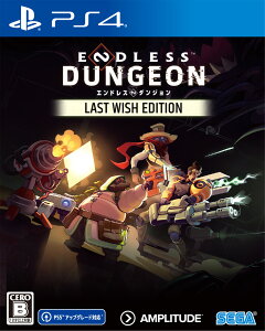 �Z�K �yPS4�zENDLESS(TM) DUNGEON LAST WISH EDITION [PLJM-17208 PS4 �G���h���X �_���W����]