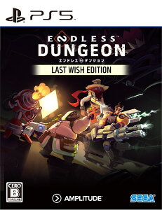 �Z�K �yPS5�zENDLESS(TM) DUNGEON LAST WISH EDITION [ELJM-30273 PS5 �G���h���X �_���W����]
