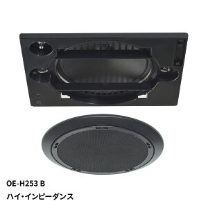 }bVu `160mmtWVXs[J[iubNjsnCCs[_Xt OE-H253(B) MASSIVE