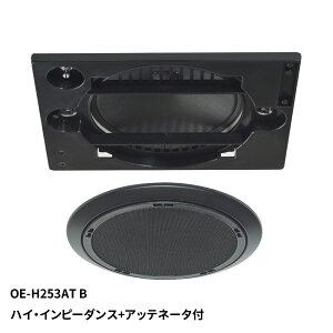 }bVu `160mmtWVXs[J[iubNjsnCCs[_X{Abel[^t OE-H253AT(B) MASSIVE