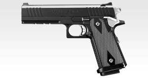 }C dK nhK^Cv nCLpE KogfyΏ۔N 18ˈȏpz GAK