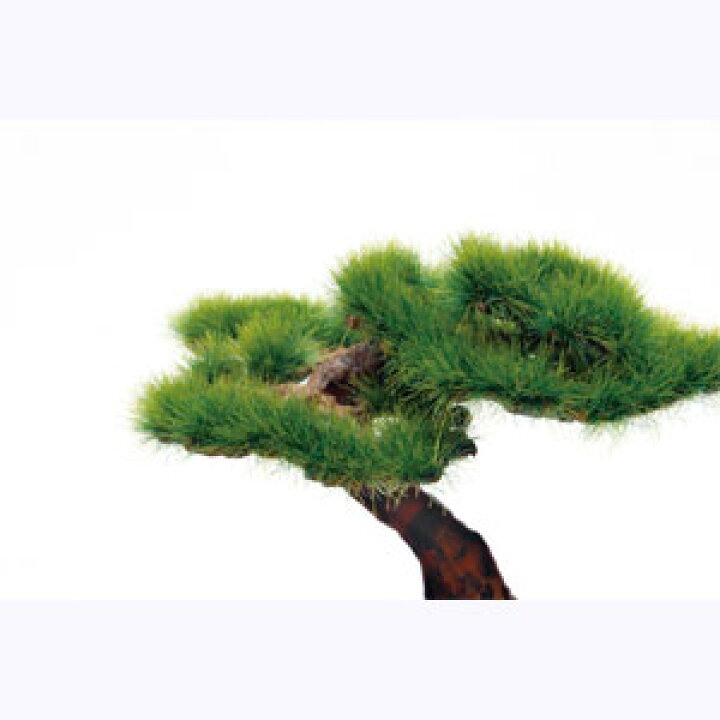 310円 特別オファー プラッツ 1 12 ザ 盆栽 弐 プラモデル BON-02 310円 特別オファー プラッツ 1 12 ザ 盆栽 弐 プラモデル BON-02
