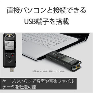 楽天市場】PCM-A10 ソニー ハイレゾ対応リニアPCMレコーダー16GBメモリ