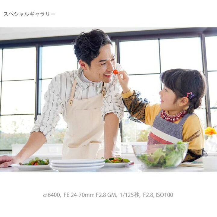 【国内発送】 送料無料 ソニー SONY ILCE-7M4 α7 IV ボディ デジタル一眼カメラ fbar.com.ar