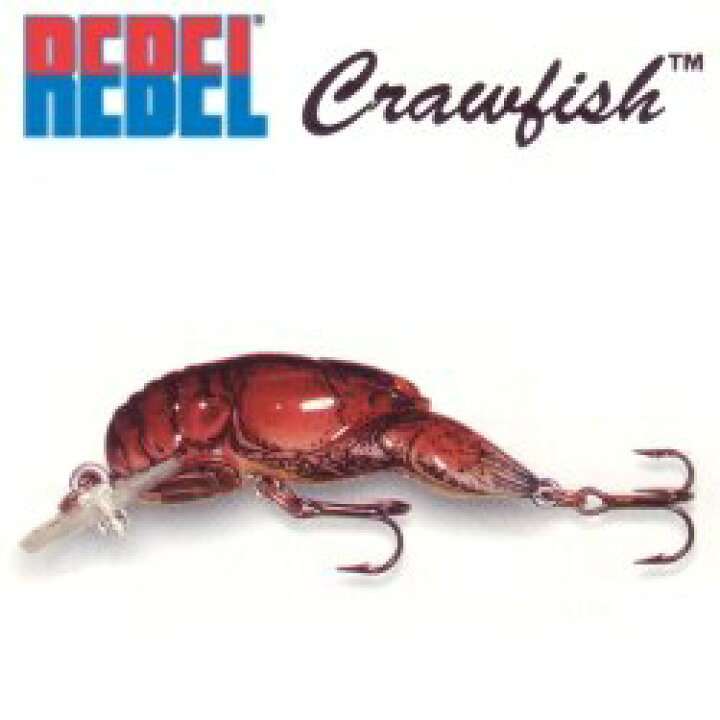 楽天市場】REBEL レーベル Wee-Crawfish ウィークローフィッシュ F76 : JISSO MART 楽天市場店