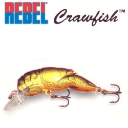 REBELレーベルTeenyWee-CrawfishティニーウィークローフィッシュF77