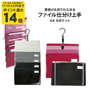 Wbg t@Cd A4 6|Pbg Ǌ|E߂2wayt@C sN ubN y䂤pPbgΉszyzySSP20z