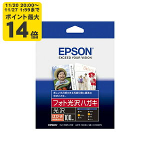 EPSON JIv^[p tHgnKL/nKLTCY/100 Gv\ KH100PK p[SEI]