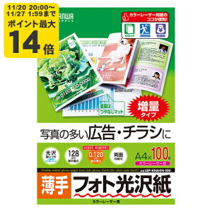 J[[U[ptHg򎆁E TTvCyLBP-KNA4N-100z[SAN]