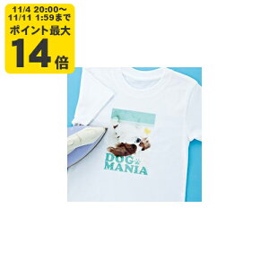 CNWFbgɋACvgizpE͂TCYE5V[gjTTvCyJP-TPRTYNA6z[SAN]