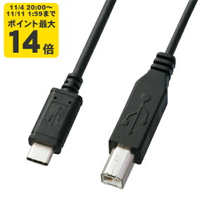 USB2.0TypeC-BP[u USB@^CvCUSB2.0@BRlN^USB2.0P[u@2m@ubN@USBF؎擾iyKU-CB20zTTvC [SAN]