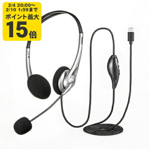 USB TypeC�w�b�h�Z�b�g ����̑������E���ɂ����P��w�����}�C�N���̗p����Type C�w�b�h�Z�b�g�B�yMM-HSTC03SV�z�T�����T�v���C [SAN]