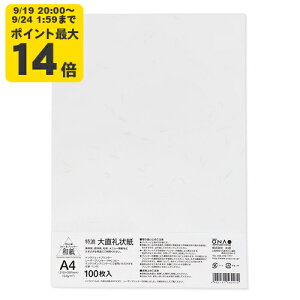 咼 A4 100 CNWFbgpay咼z[ONA] CNWFbg Rs[p v^p p 莆 ^[ A   ҏ  tH[}