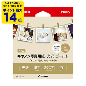 canon �ʐ^�p���E���� �S�[���h �X�N�G�A 20�� GL-101SQ20 �L���m�� �����p�� 2310B036[SEI]