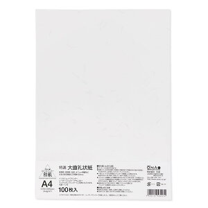 咼 A4 100 CNWFbgpay咼z[ONA] CNWFbg Rs[p v^p p 莆 ^[ A   ҏ  tH[}