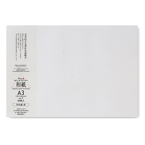 玆 A3 50 CNWFbgpay咼z[ONA]y䂤pPbgΉsz CNWFbg Rs[p v^p p 莆 ^[ A   ҏ  t