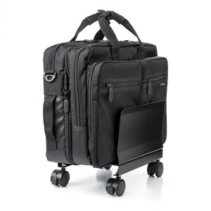�L���X�^�[�t�����X�^���h[SAN]