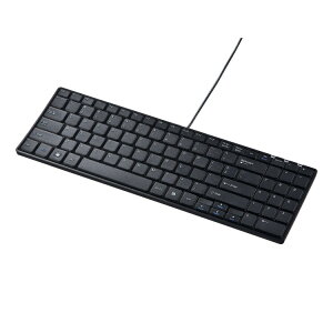 �p��z��USB�X�����L�[�{�[�h[SAN]
