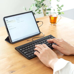 USB Type-C�X�����L�[�{�[�h[SAN]