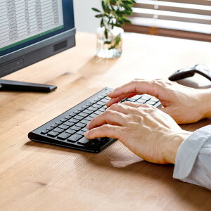 ���C�����X�X�����L�[�{�[�h[SAN]