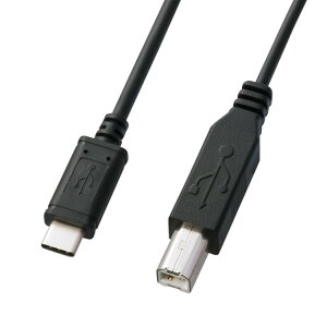 USB2.0TypeC-BP[u USB@^CvCUSB2.0@BRlN^USB2.0P[u@2m@ubN@USBF؎擾iyKU-CB20zTTvC [SAN]