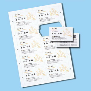 �}���`�^�C�v�܂�肪���ꂢ�Ȗ��h�J�[�h�E�W��(A4�A10�ʁA20�V�[�g200�J�[�h����)�T�����T�v���C�yJP-MCCM01�z[SAN]