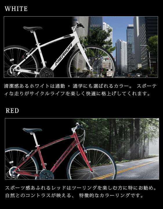 楽天市場】((ポイント5倍＆クーポン☆150店舗感謝祭_4/1から))『店舗 