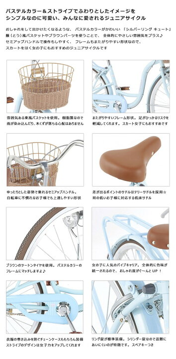 楽天市場】((ポイント5倍_4/19-20))【エリア限定☆送料無料】シルバー 