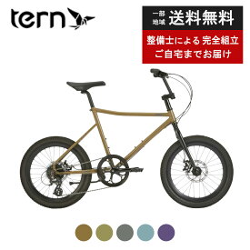 【先着600名★250円クーポン】 ミニベロ tern ターン AMP F1 アンプF1 2024