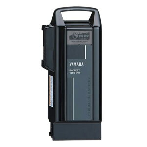 y}}XP2{ΏۓXł}\Ԓz }n d] obe[ 12.3Ah Vi Ki X0T-82110-23 F (X0T-82110-22j