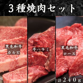 【焼肉3種セット 黒毛和牛ロース/黒毛和牛カルビ /牛ハラミ 240g】各80g ハラミ 1人前 お試し プチギフト ミニギフト 誕生日 食べ比べ 肉 焼肉セット 焼き肉 お肉 詰め合わせ 牛肉バラ お得 訳あり やわらか お肉セット 送料無料 グルメ 贈り物 焼肉食べ比べ 焼肉ギフト