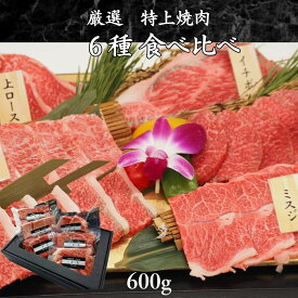 厳選特上 焼肉 6種セット600g 2人前 3人前 母の日 父の日 お肉 焼き肉ギフト お肉ギフト 焼肉食べ比べ お中元 誕生日 黒毛和牛 焼肉 焼肉セット 食べ比べ 高級肉 霜降り 焼き肉 焼肉ギフト 牛肉 詰め合わせ タン ハラミ 焼肉 食べ比べ お肉セット a5等級 高級 焼き肉セット