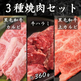 【3種焼肉セット 黒毛和牛上カルビ/黒毛和牛カルビ/牛ハラミ 計360g】各120g 2人前 お試し プチギフト ミニギフト 誕生日 食べ比べ 肉 焼肉セット 焼き肉 お肉 詰め合わせ 牛肉バラ お得 訳あり やわらか お肉セット 送料無料 グルメ 贈り物 焼肉食べ比べ 焼肉ギフト