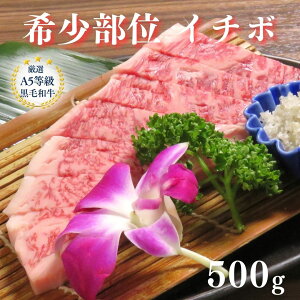 yA5 јa 󏭕 C`{ 500gzјa A5 󏭕 Ԑg ē  Mtg OMtg Zbg j a v[g 󏭕 a5 јa Hה ēMt