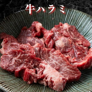 炩n~  n~ O[h Ă Lv BBQ Əē ē ēZbg ܂ ƈ El I Hi Ⓚ Hi ē J ₫ɂ LjN   O