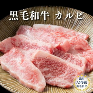 јaē Jr A5 ēJr ē јao  Y Ă Lv BBQ ē ܂ ƈ Hi Ⓚ Y Jr  ܂Ƃߔ a   O ₫