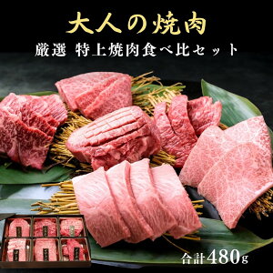 l̏ē  ē 6 Zbg 480g 2lO 3lO ܔ Ε Mtg Ε2025 v[g ~Mtg ~̑蕨 NMtg ē Hה     ē Hה Zbg 