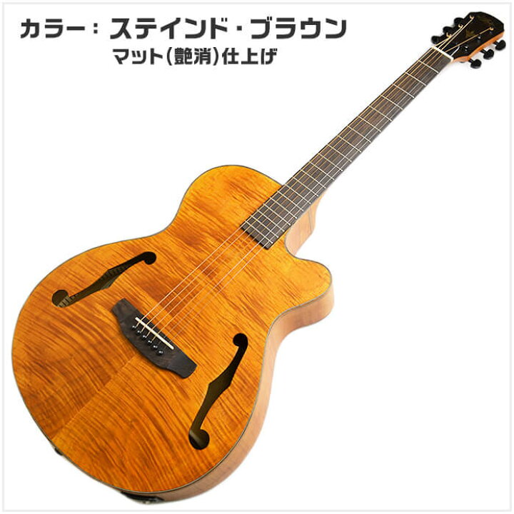 楽天市場】アコースティックギター 初心者セット エレアコ Aria FET-F2 
