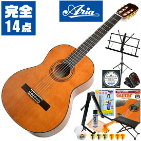 クラシックギター 初心者セット 入門 (完全 14点) ARIA A-20 (アリア シダー材 単板)