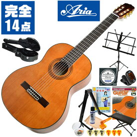 クラシックギター 初心者セット 入門 (ハードケース 完全 14点) ARIA A-20 (アリア シダー材 単板)