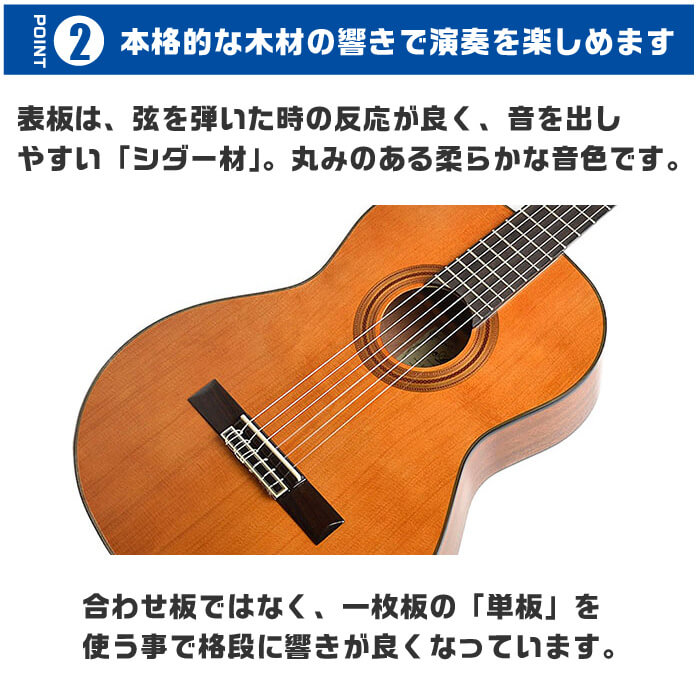 楽天市場】クラシックギター ARIA A-20 ハードケース付属 (アリア 