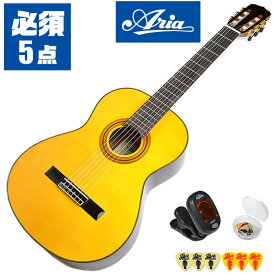 クラシックギター 初心者セット 入門 (必須 5点) ARIA A-30S (アリア スプルース単板/ローズウッド)