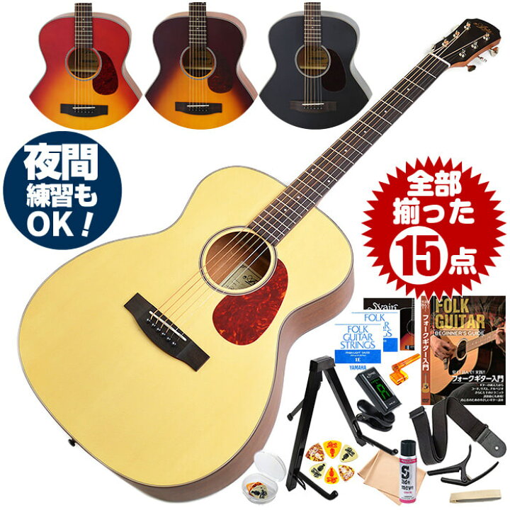 楽天市場】アコースティックギター 初心者セット アコギ 15点 アリア 